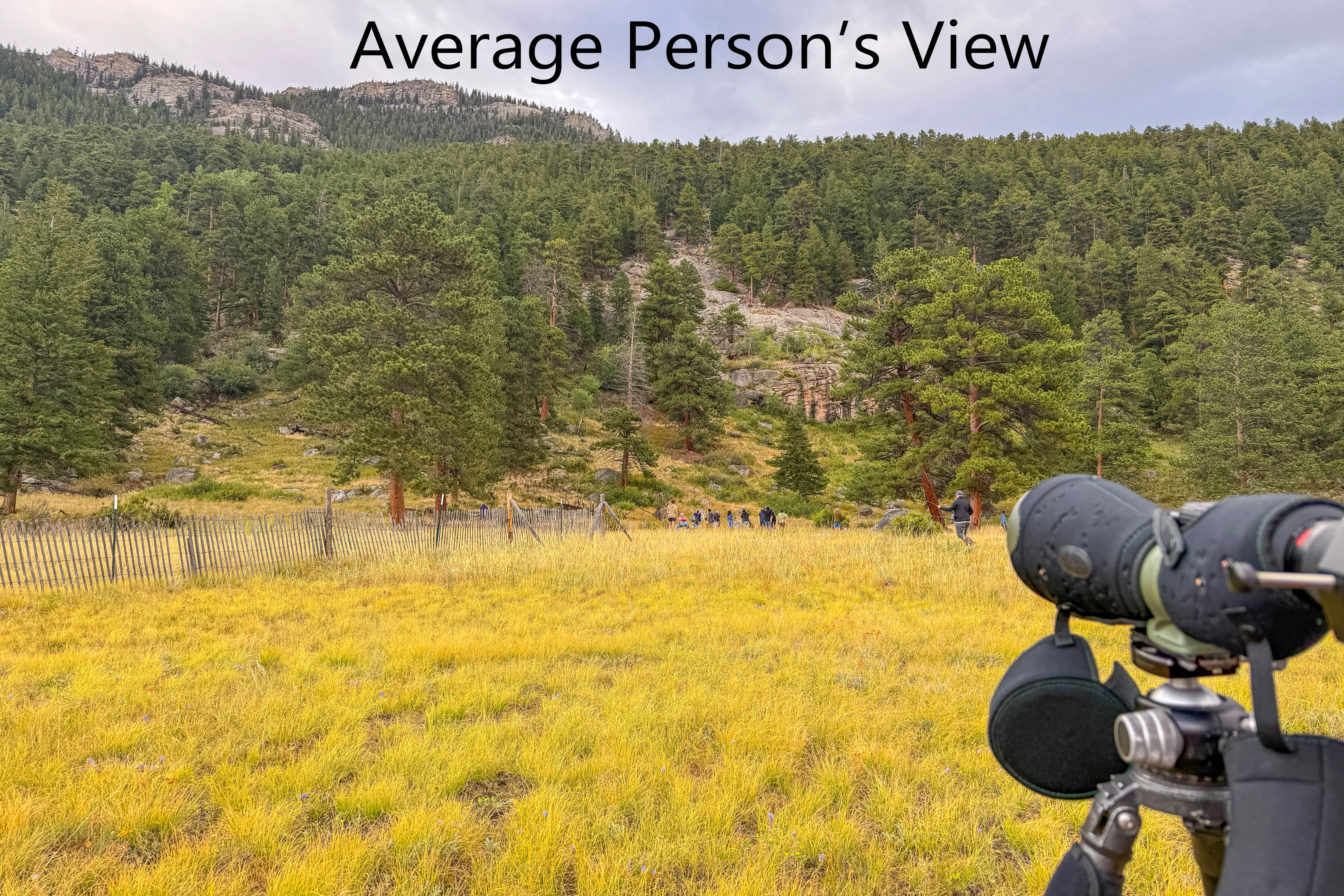 Wildlife Tour Spotting Scope View average persons view